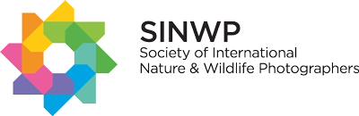 SINWP