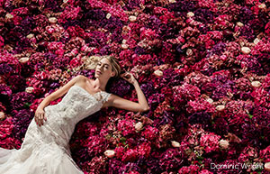 Society of International Fashion and Glamour Photographers
